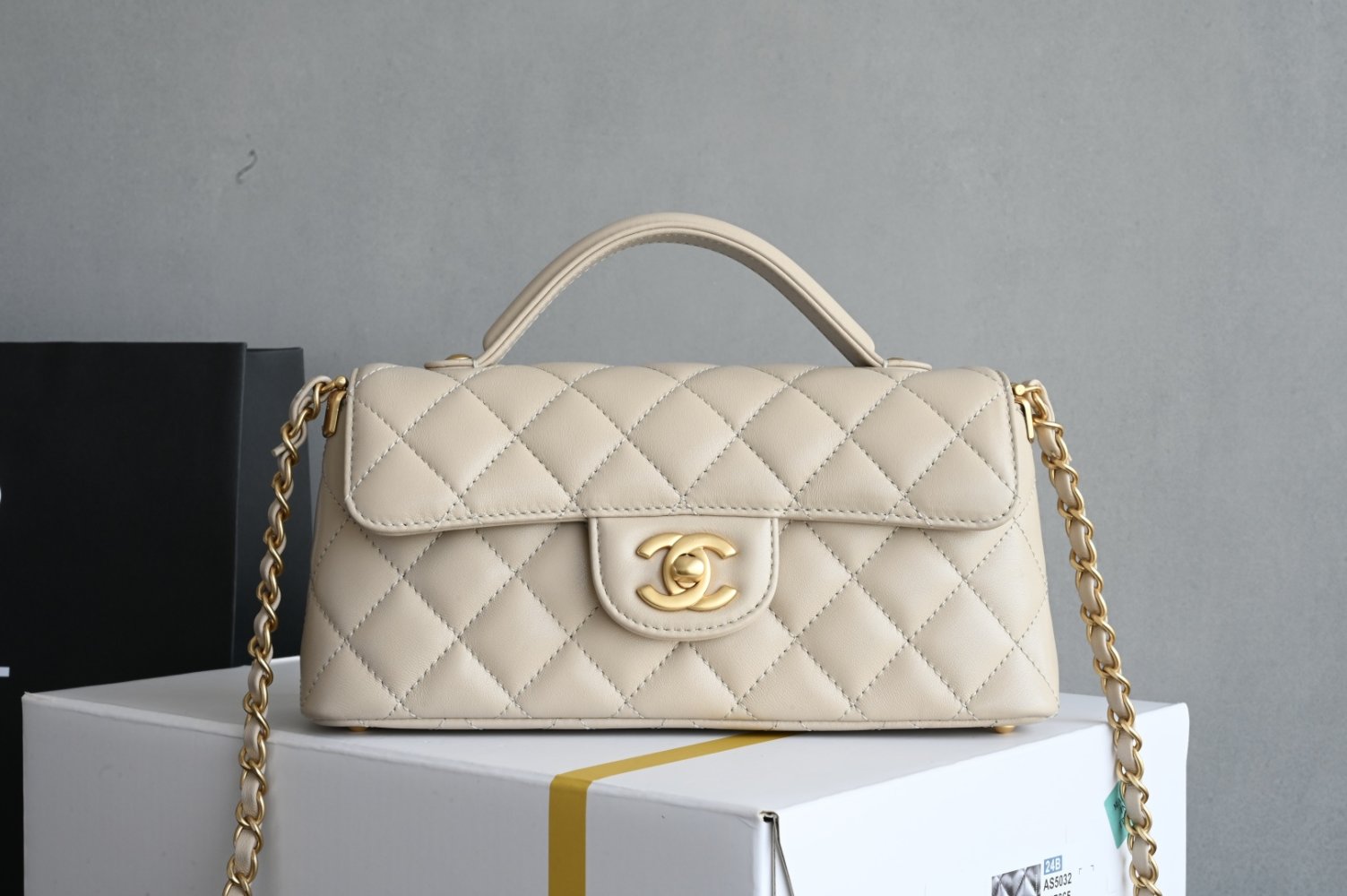 Сумка кожаная Kelly Chanel 25P 22 см