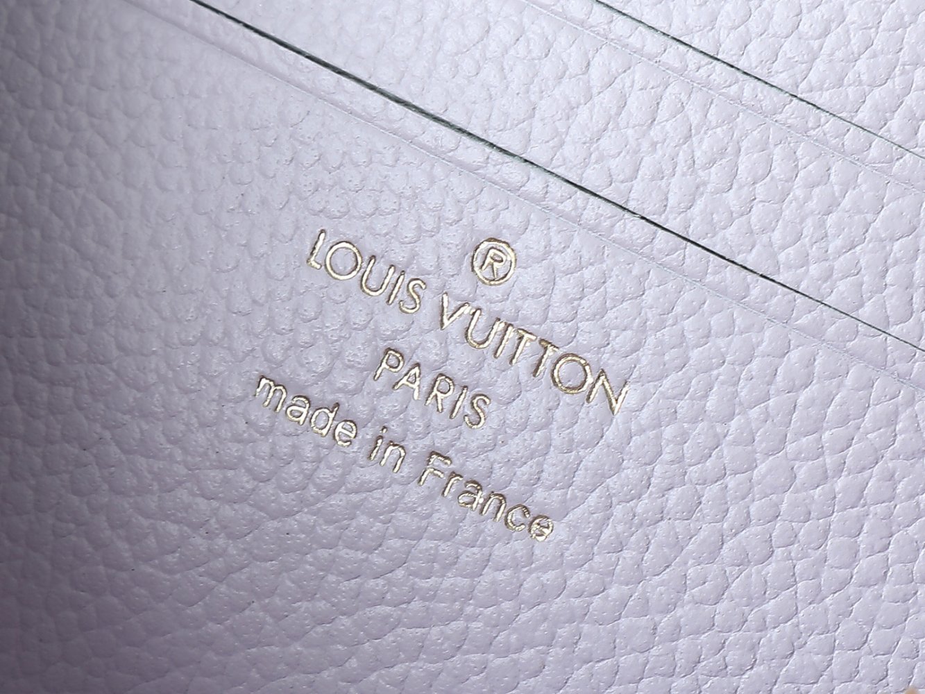 Сумка кожаная Wallet on Chain Ivy 23 см фото 9