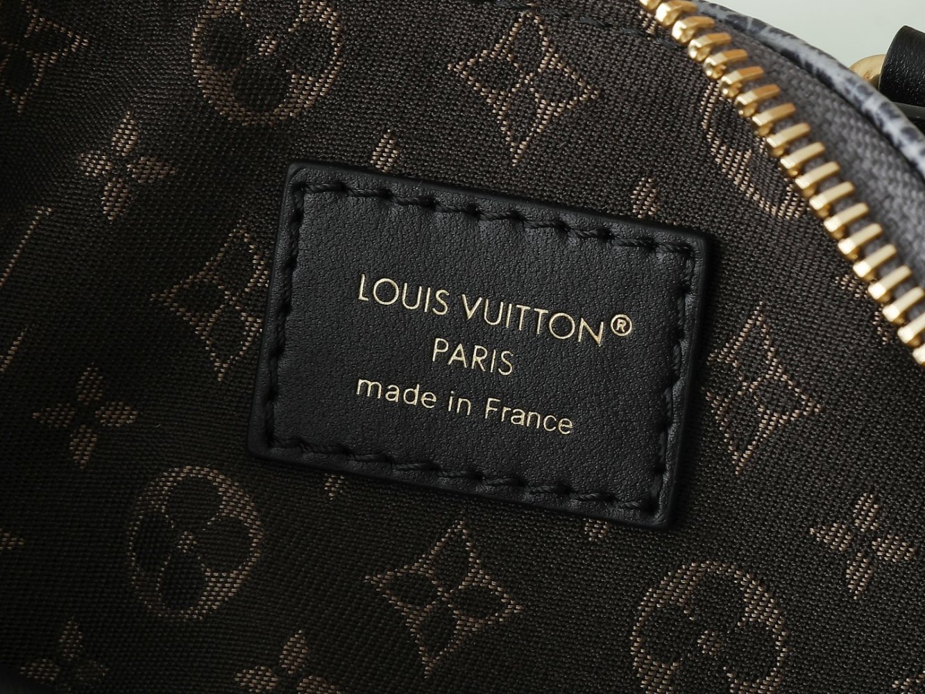 Сумка Louis Vuitton Biker Nano 23 см фото 9