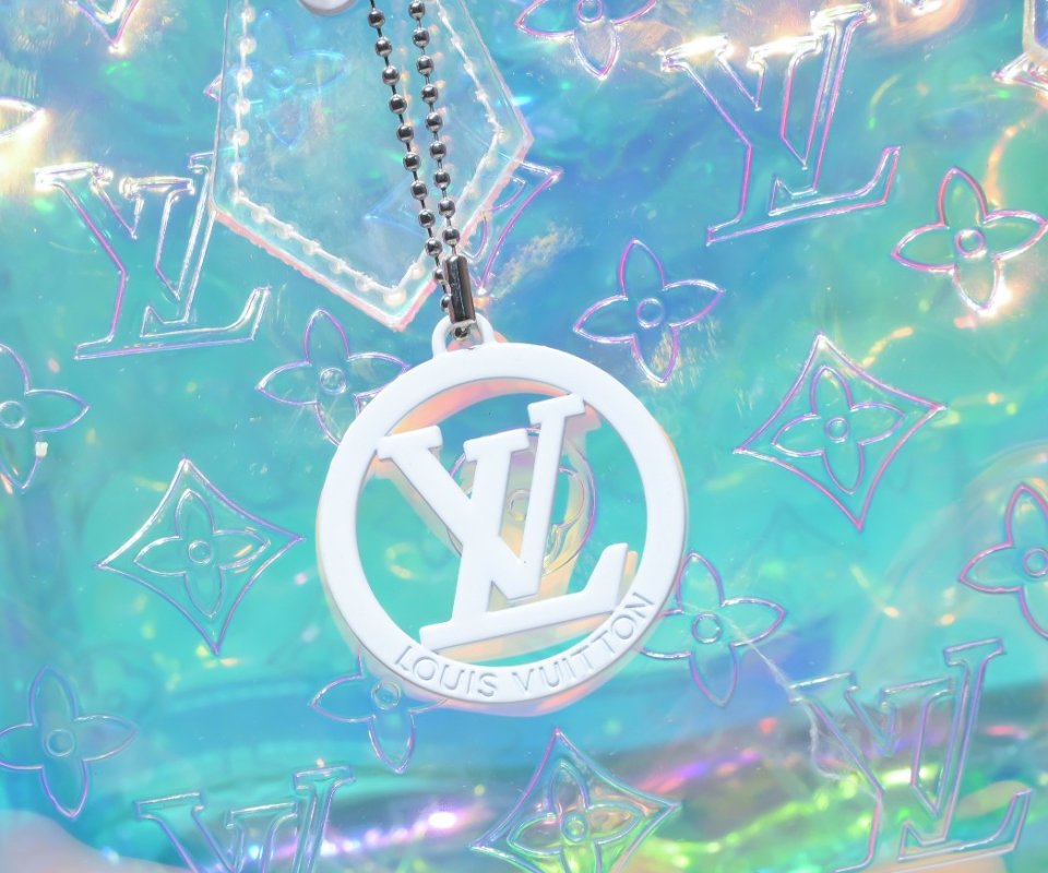 Сумка SPEEDY 25 прозрачная фото 4