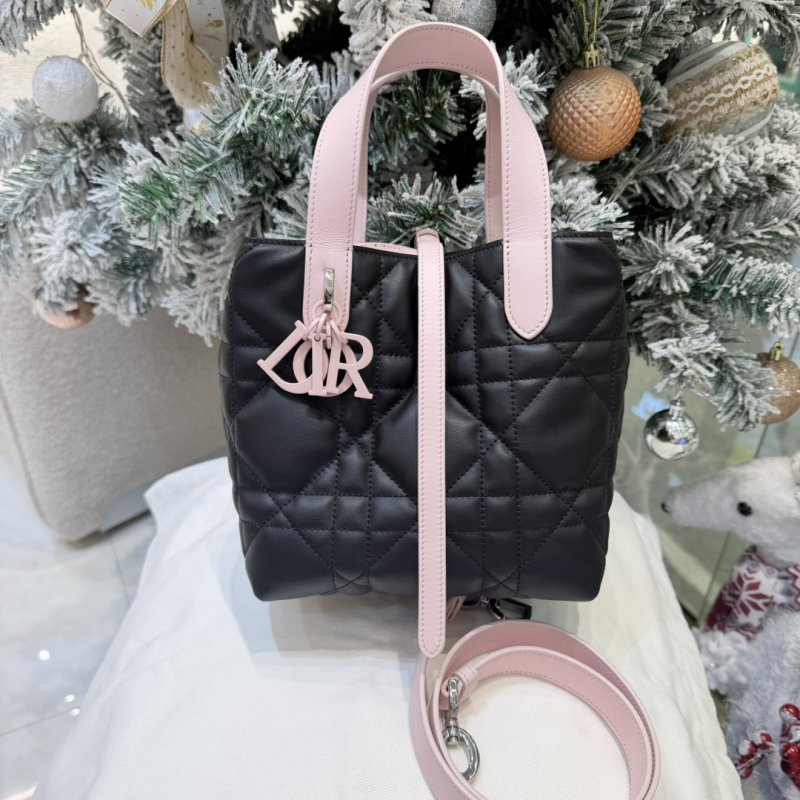 A bag тоут Dior Toujours 18 cm