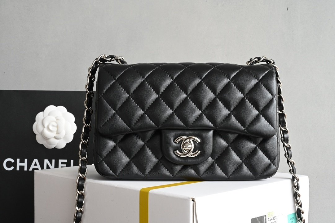 A bag women's leather Classic Flap Mini 20 cm