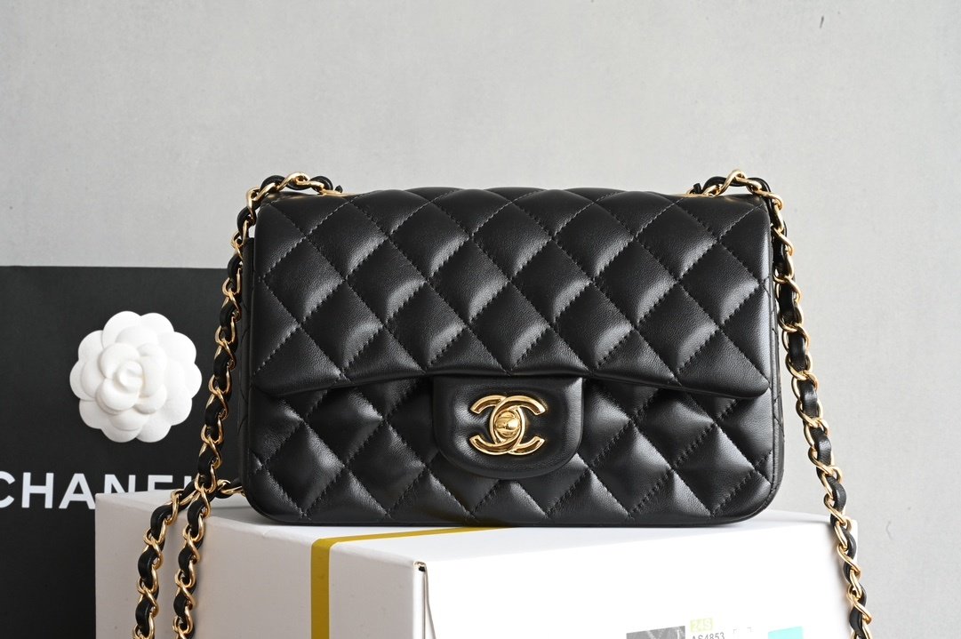 A bag women's leather Classic Flap Mini 20 cm