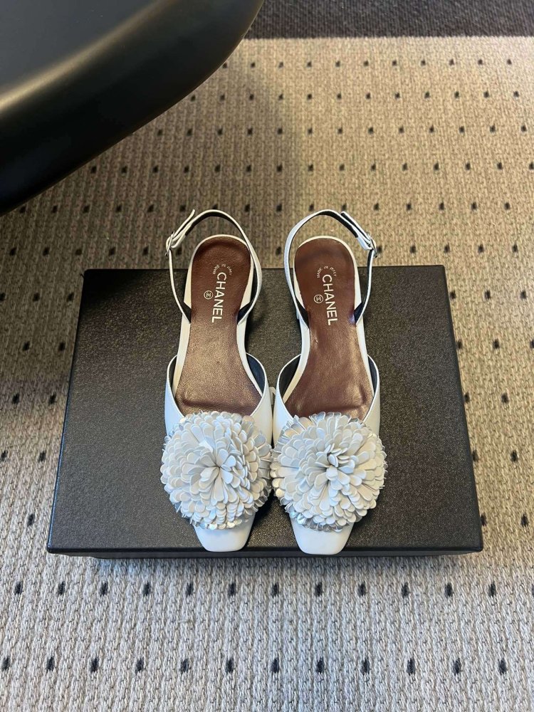 Shoes women's